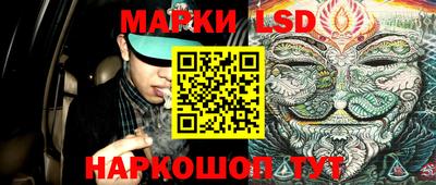 эйфоретик Аргун