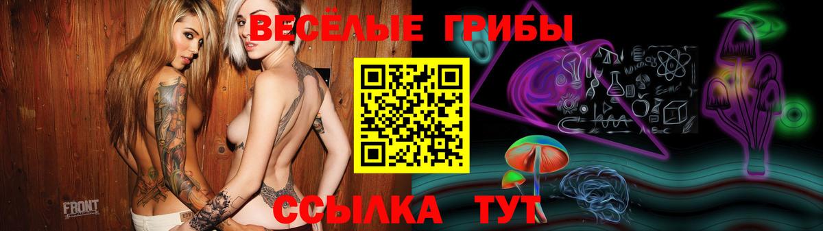 Псилоцибиновые грибы MAGIC MUSHROOMS  где найти   Псилоцибиновые грибы Magic Shrooms  Всеволожск  Вход с VPN 